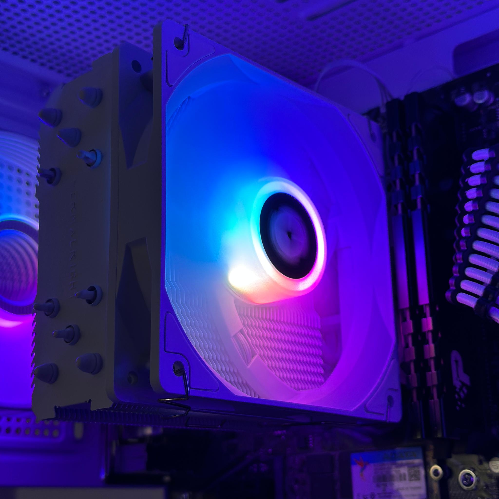 1080p Killer | GTX 1080ti | Ryzen 5 5600 | 16GB DDR4 | 1.26TB | Win 11 | Office 2024 | FREE SHIP