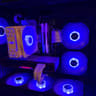 AMD RX 6700XT Reference