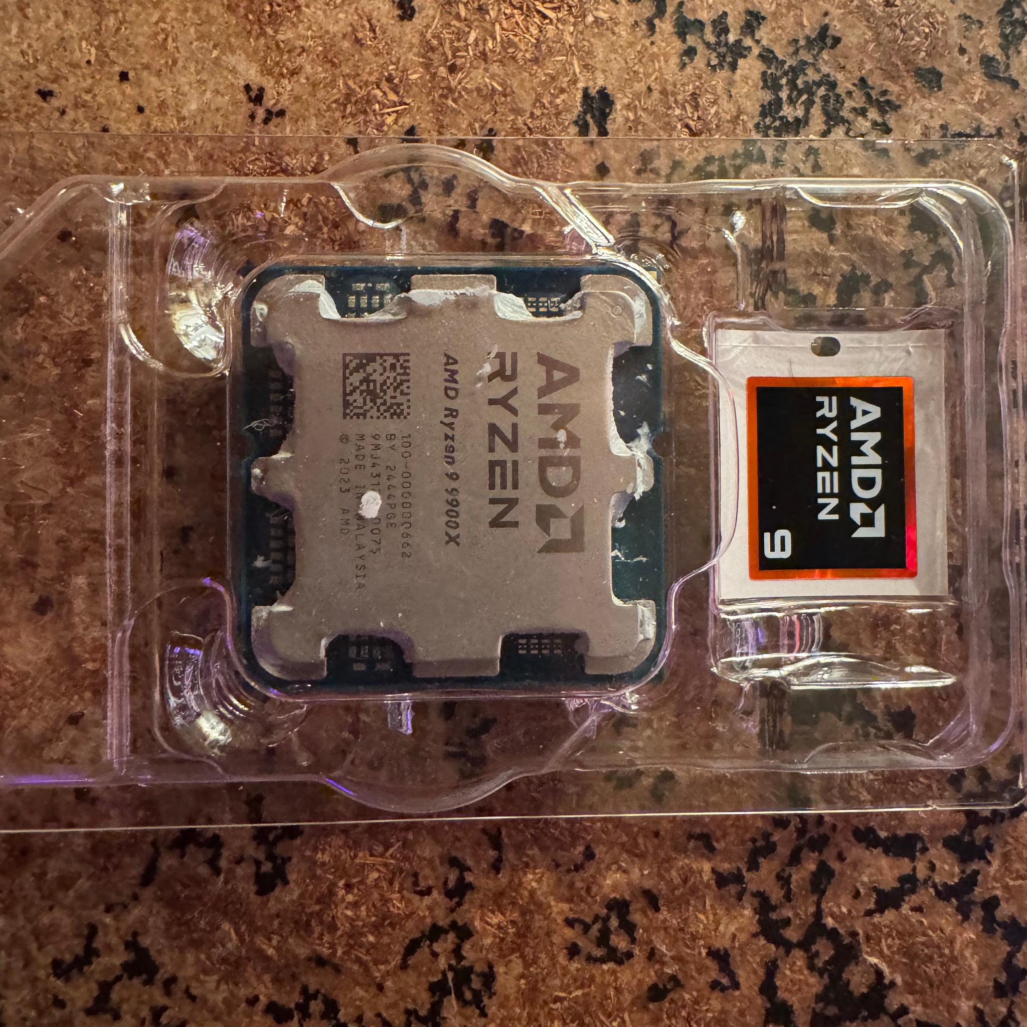 AMD Ryzen 9 9900X