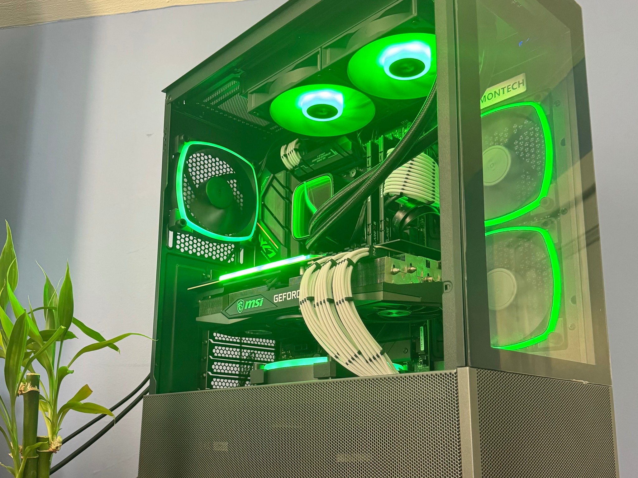 🐼 RTX 3080 | Ryzen 7 7700X | 32GB DDR5