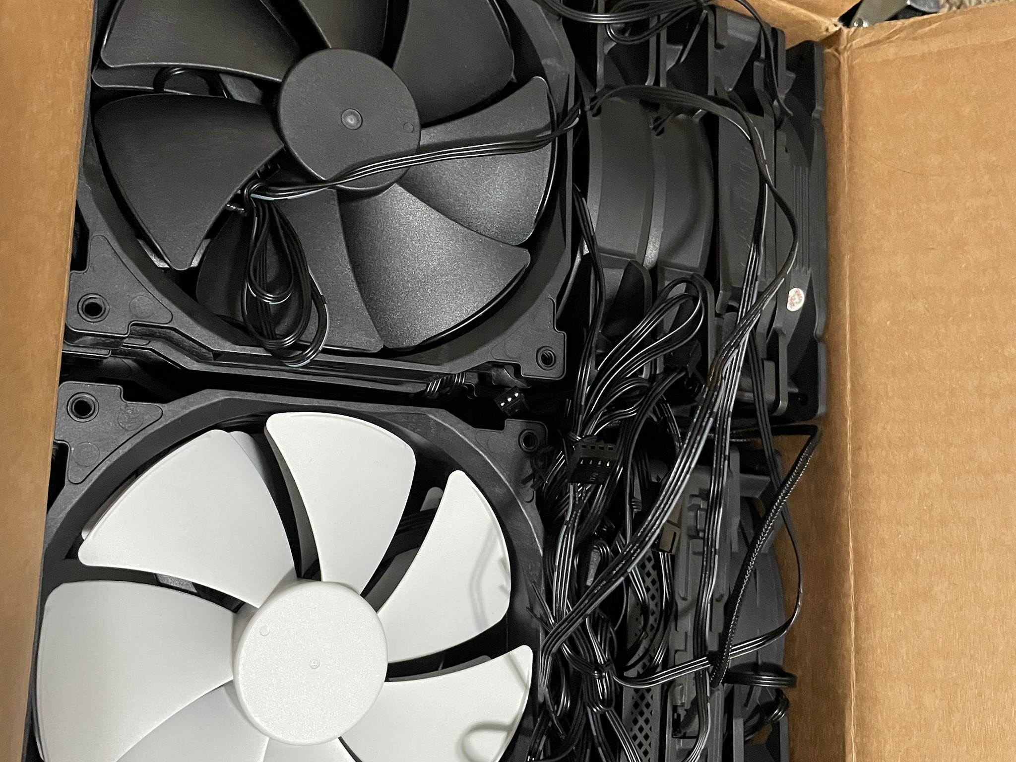 Box O’ Fans! (17 count Mixed)