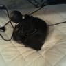 🚘Logitech G Driving Force Shifter🕹️