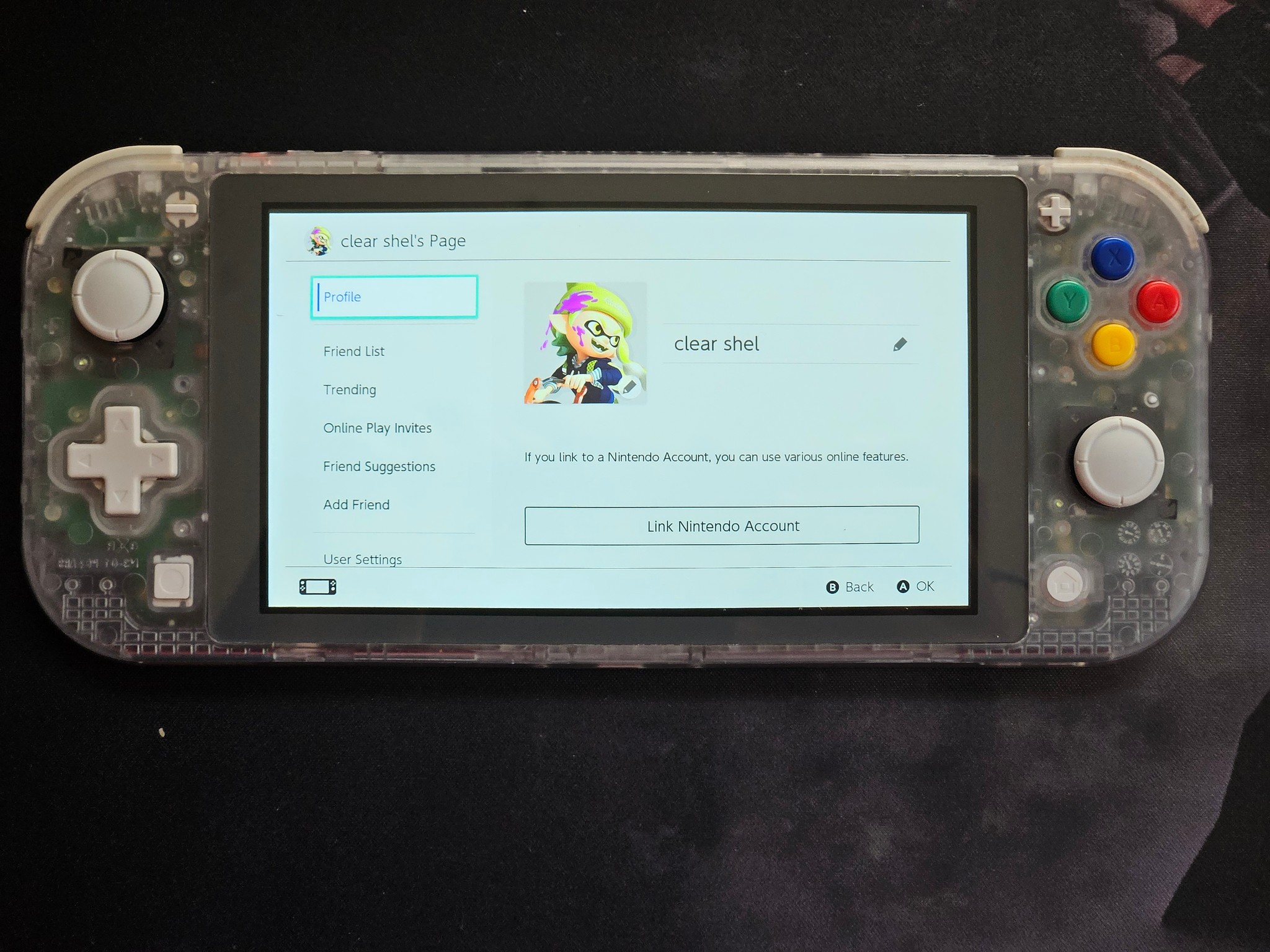 Clear Shell Nintendo Switch Lite