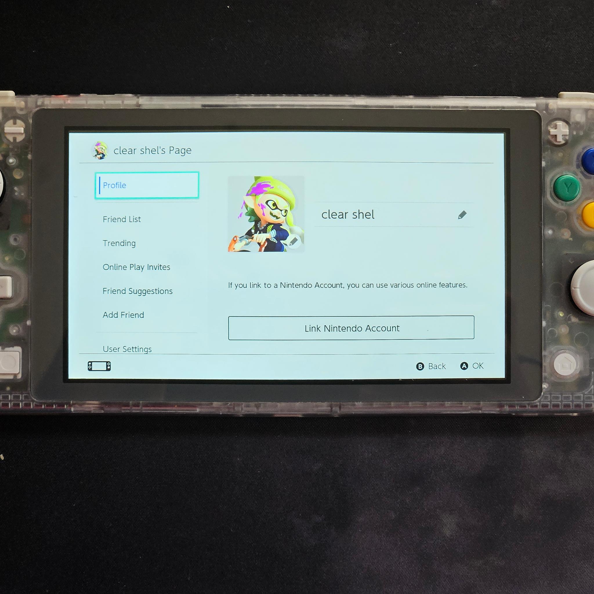 Clear Shell Nintendo Switch Lite