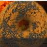 1440p And 4k Gaming PC - Ryzen 7 7800X3D | 9070 XT 16GB | 32GB DDR5 | 2TB NVMe