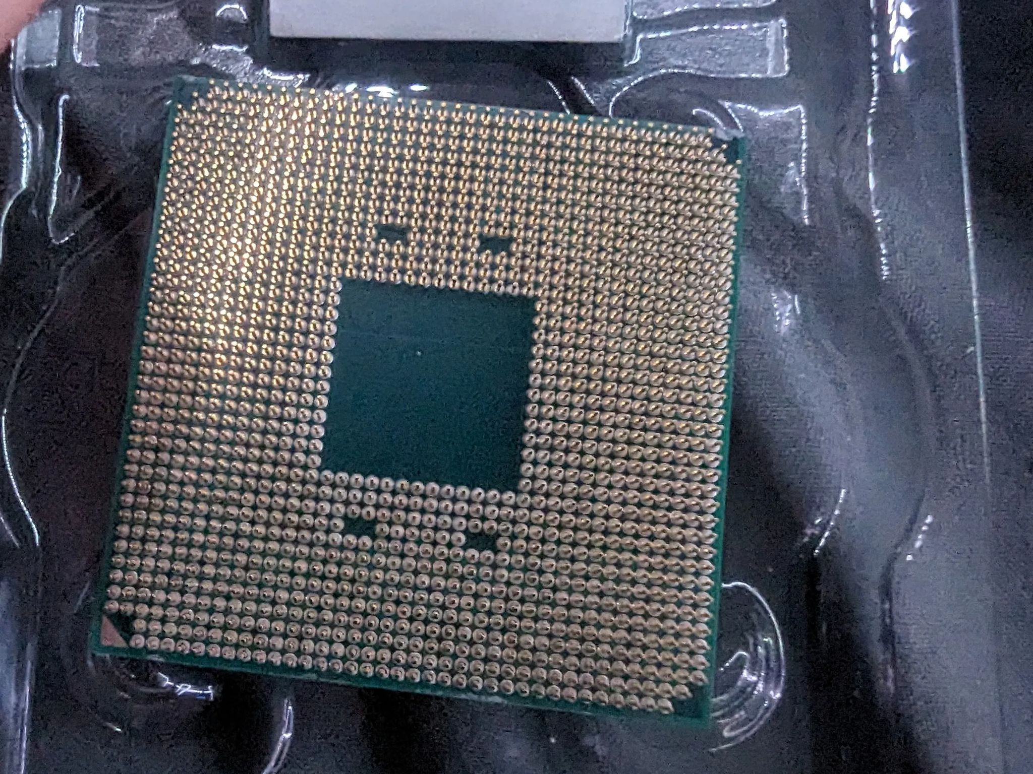 Ryzen 5 5600X