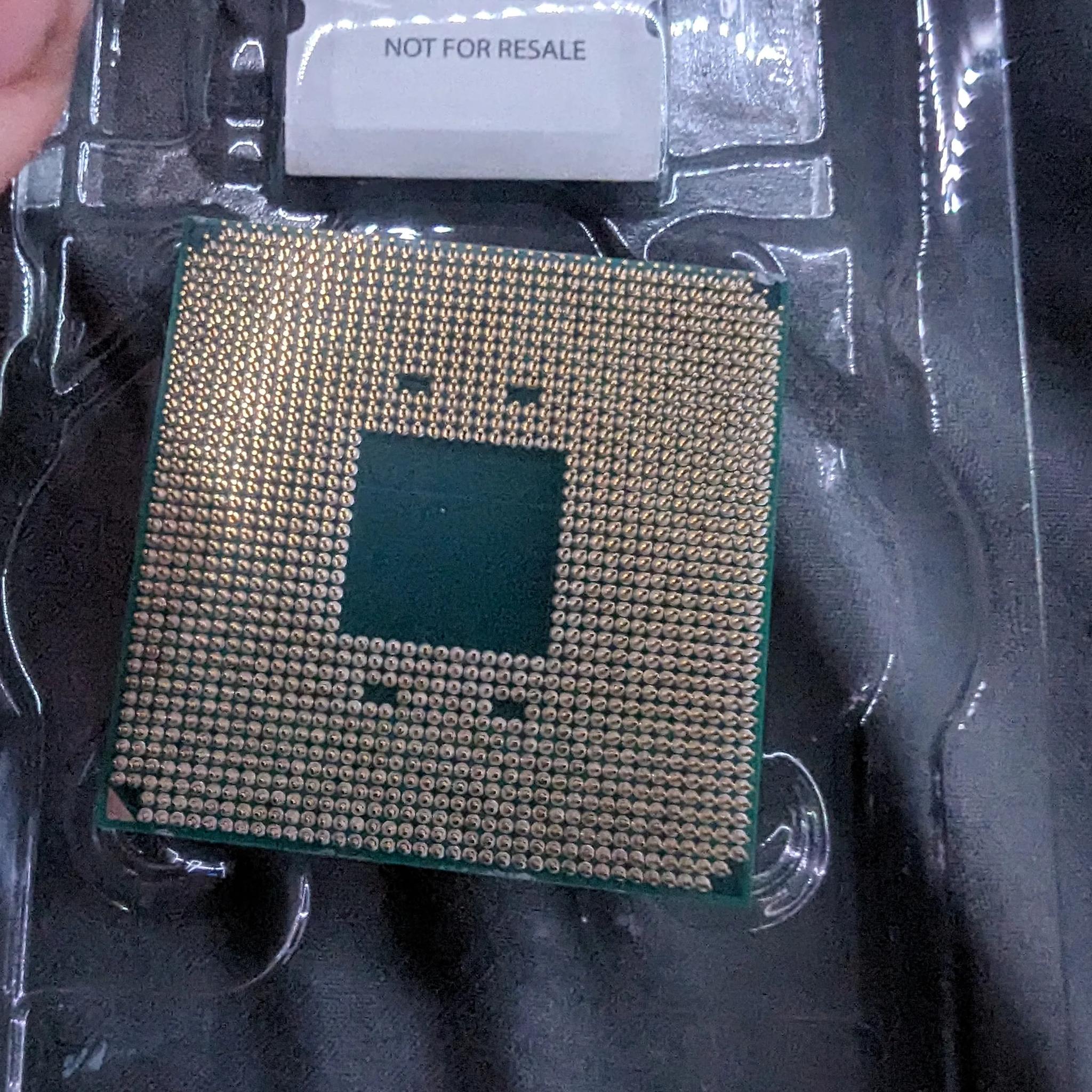 Ryzen 5 5600X