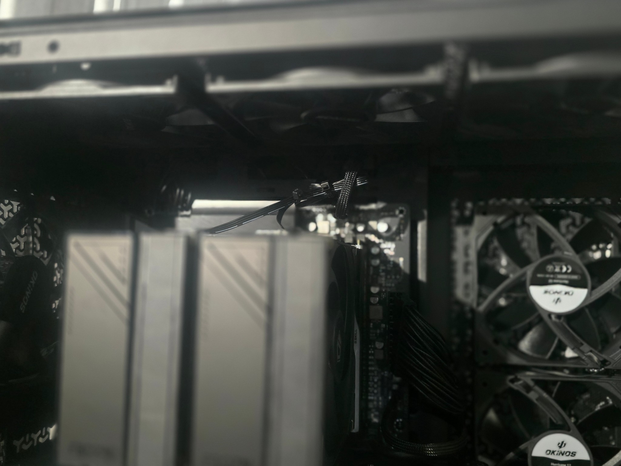 1440p Beast