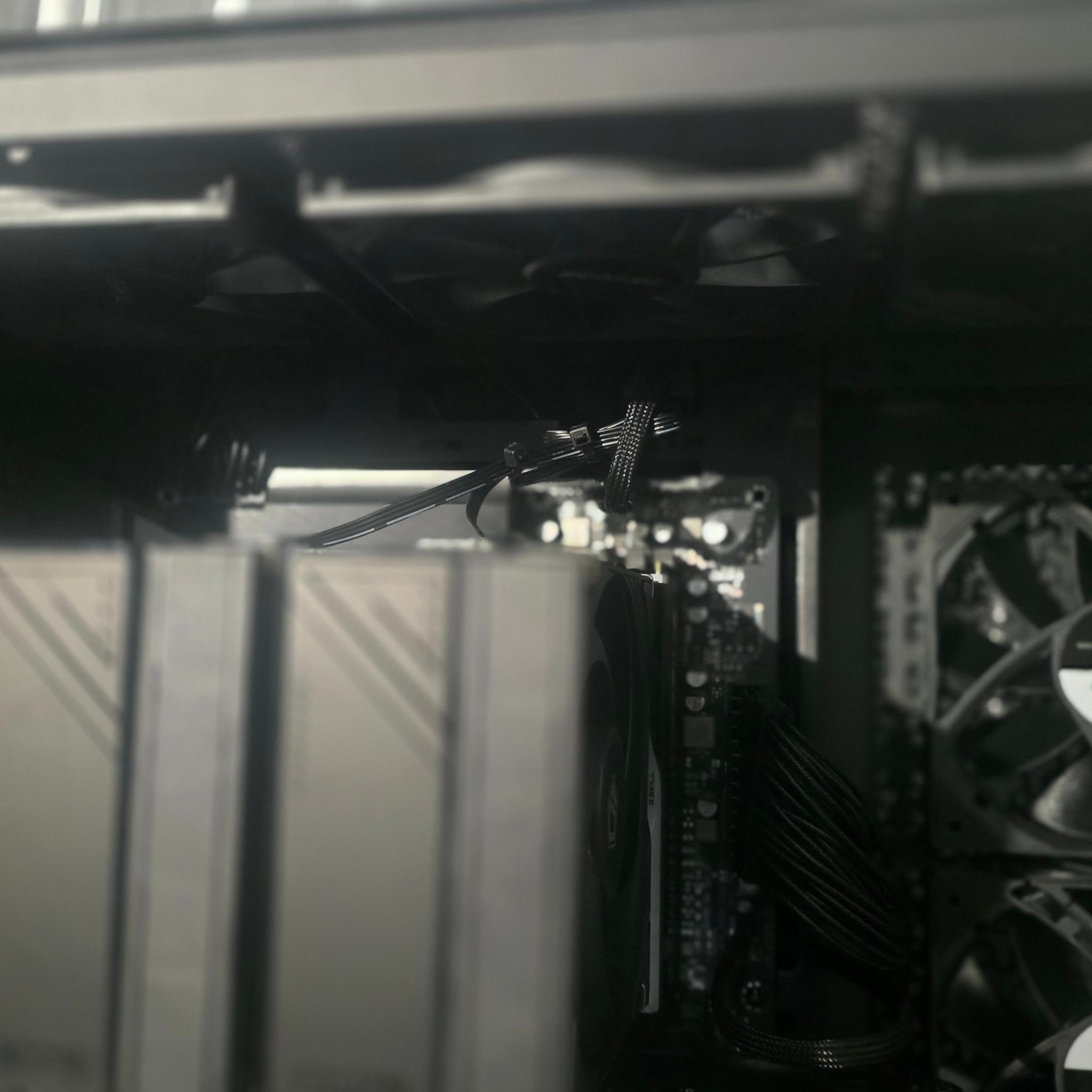 1440p Beast