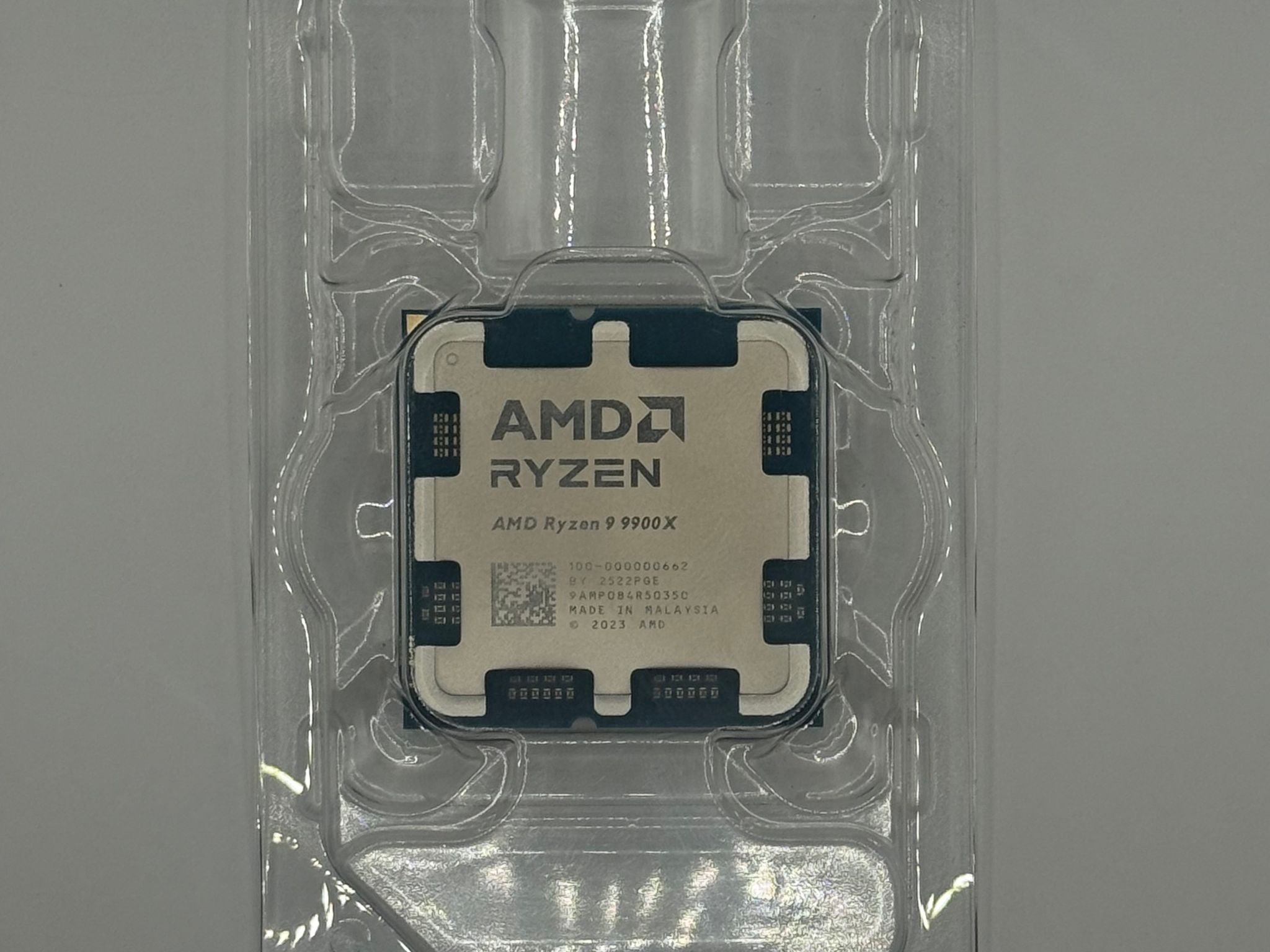 AMD Ryzen 9 9900x