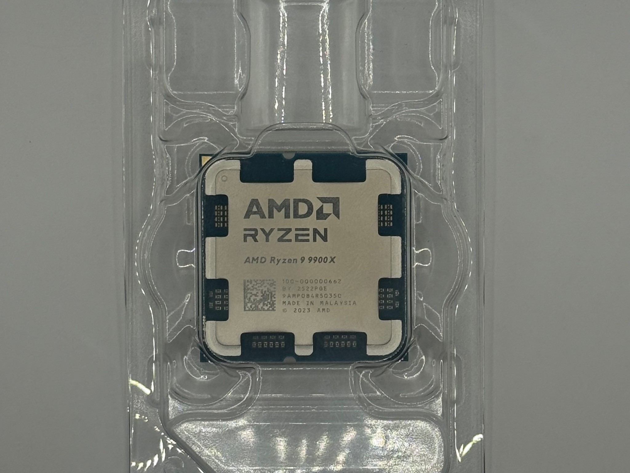 AMD Ryzen 9 9900x