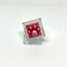 DOLLAR KEYCAPS!! *Nyan Paw*