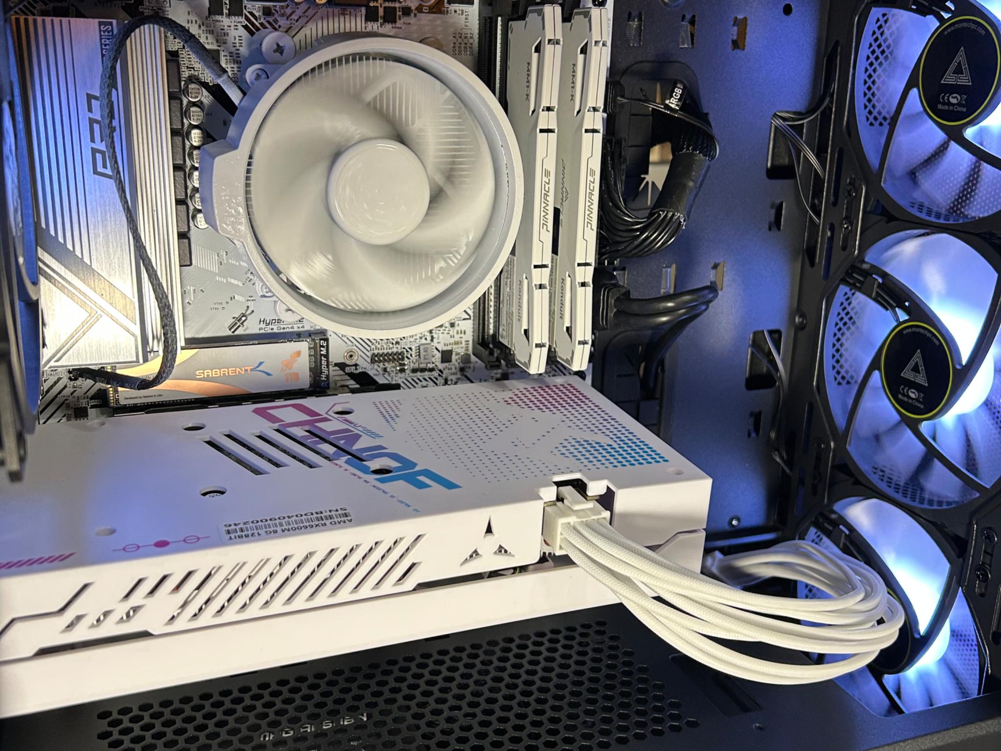 Black and White - Budget Buddy