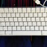 Apple OEM Wired Dual USB Keyboard Model A1048 White 2003 Tested and Working