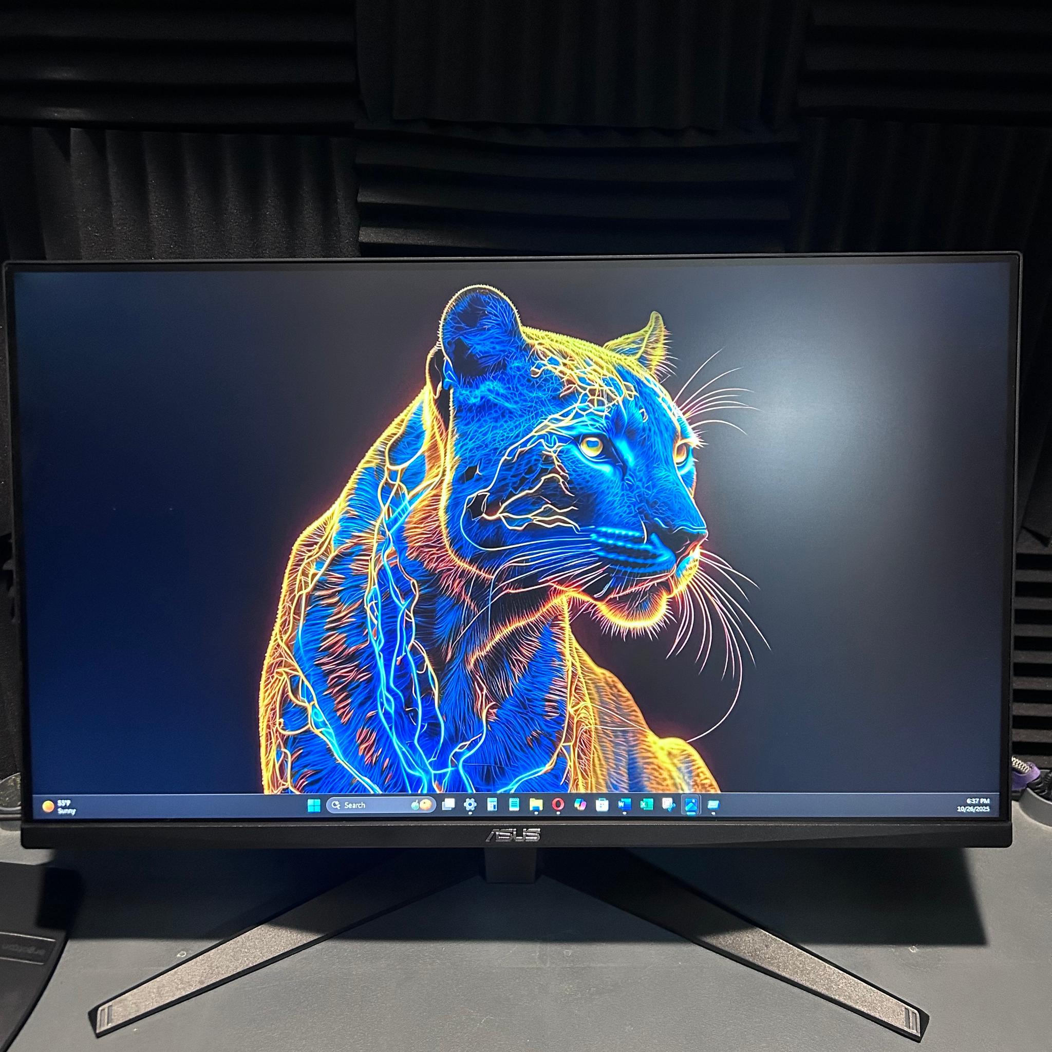 ASUS TUF 27" (165Hz) Gaming Monitor (VG279Q1A)