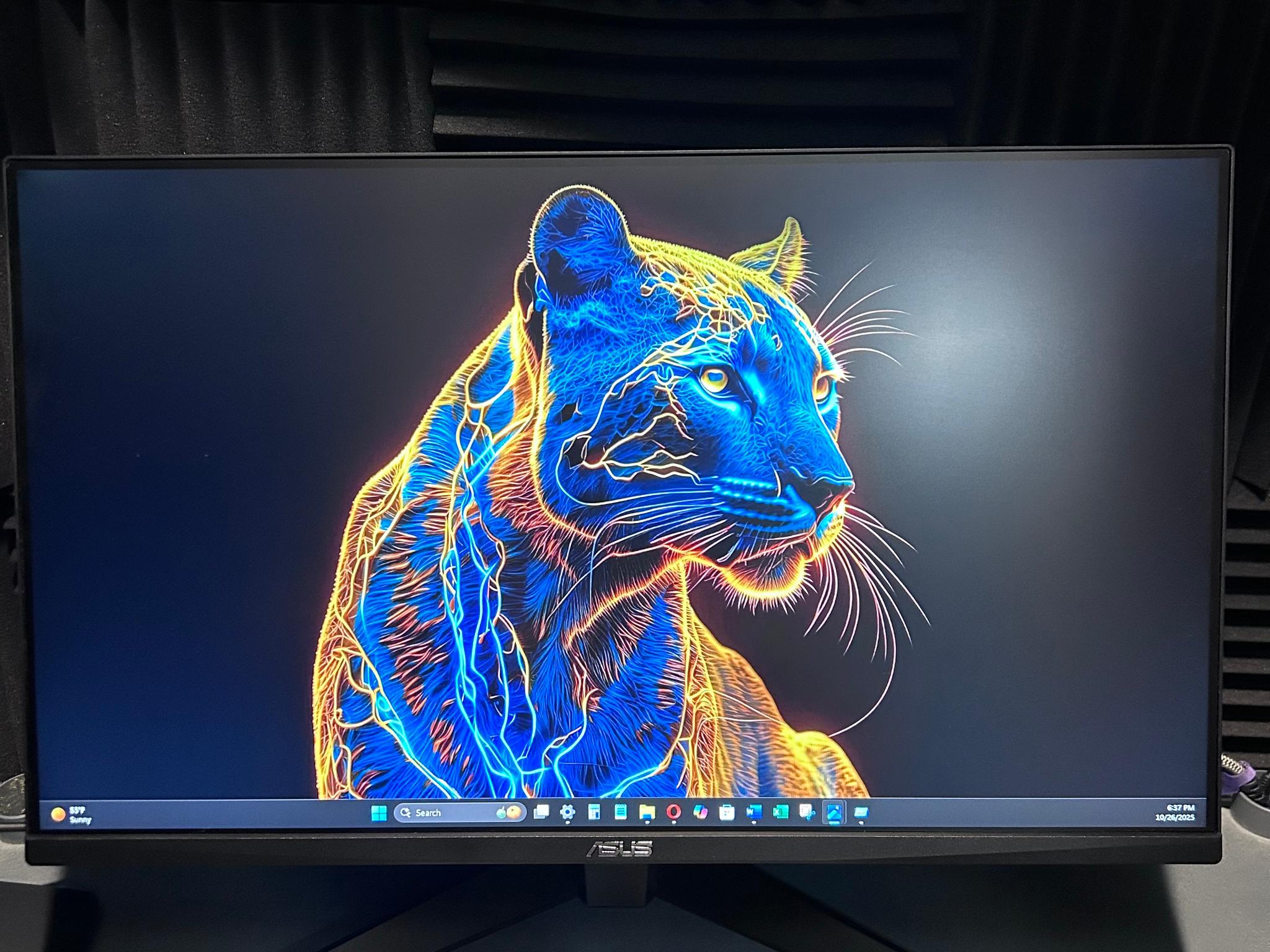 ASUS TUF 27" (165Hz) Gaming Monitor (VG279Q1A)