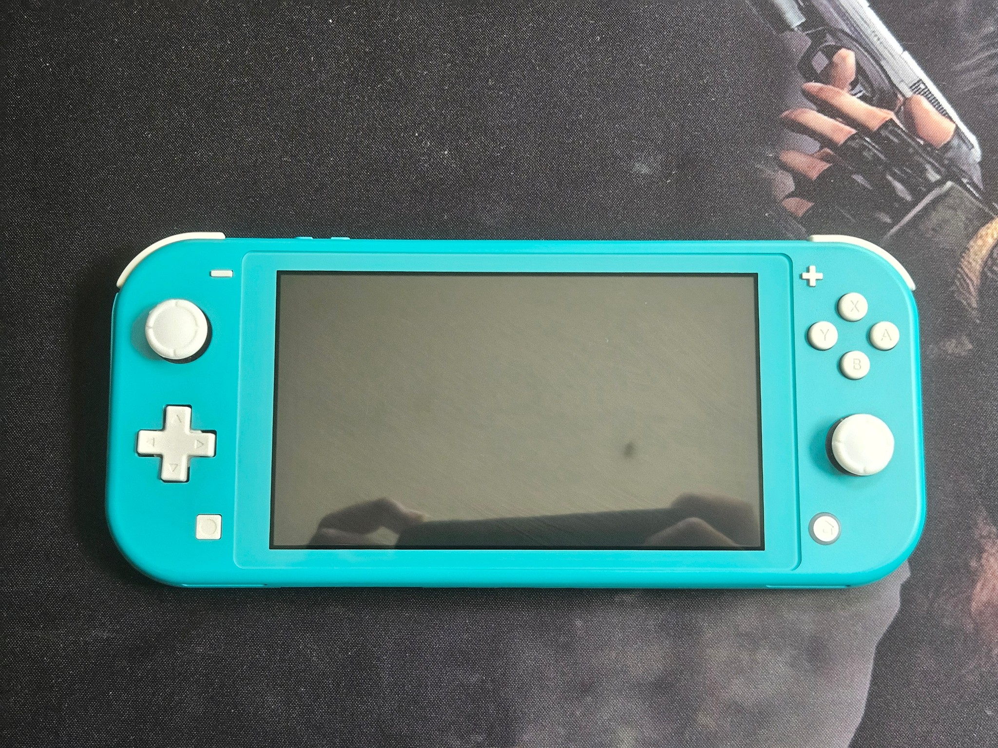 Modded Switch Lite with 256GB SD Card and Picofly
