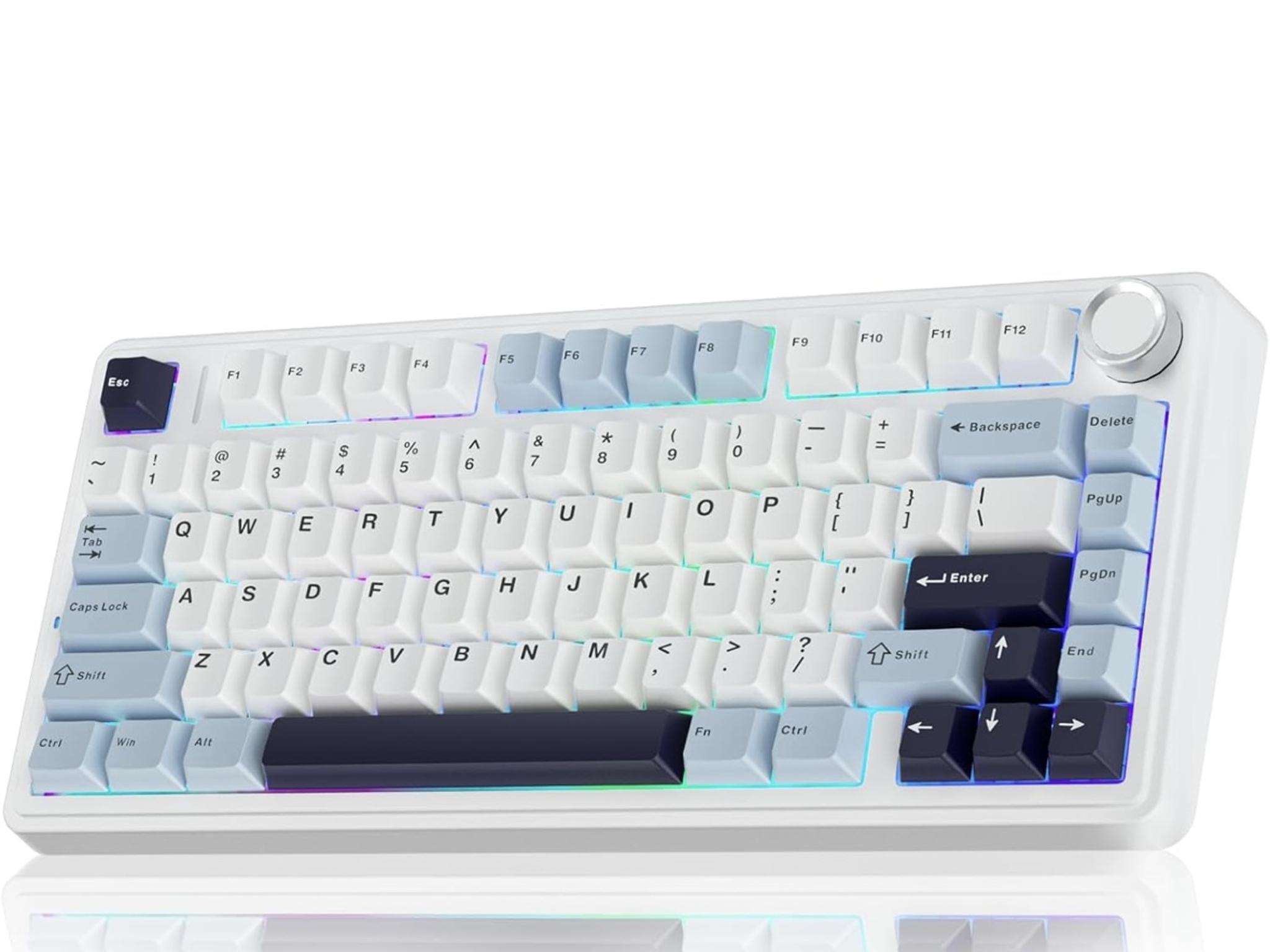 Aula F75% (BRAND NEW)