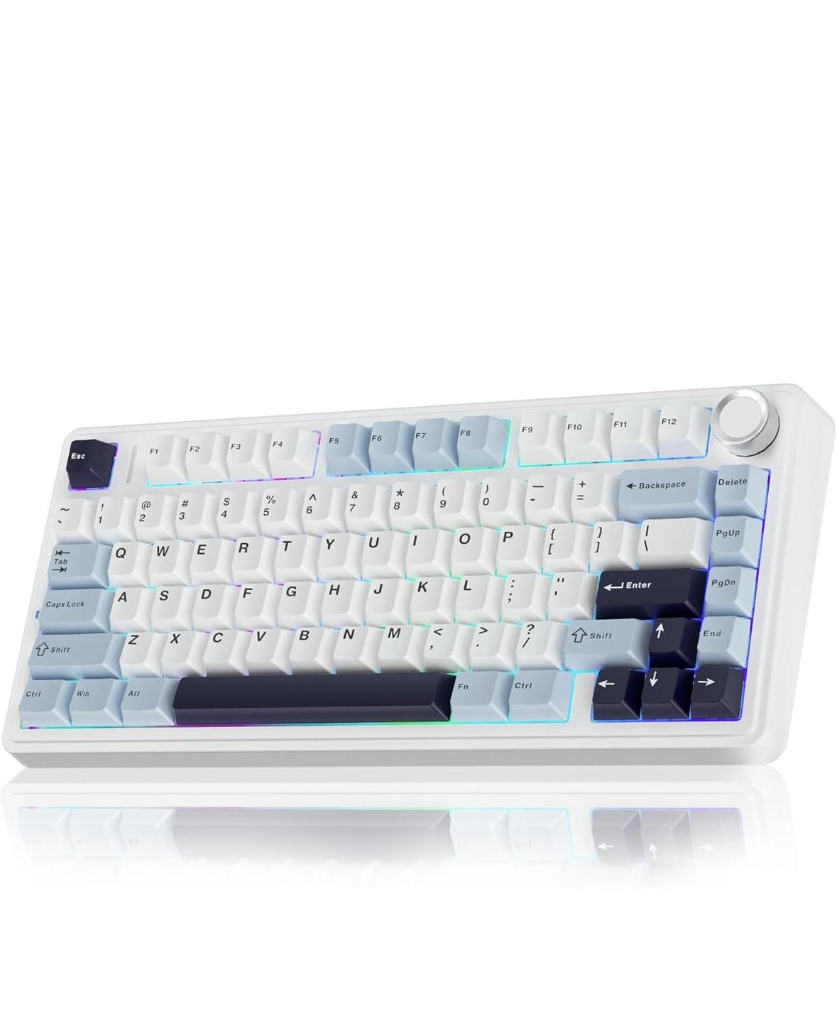 Aula F75% (BRAND NEW)