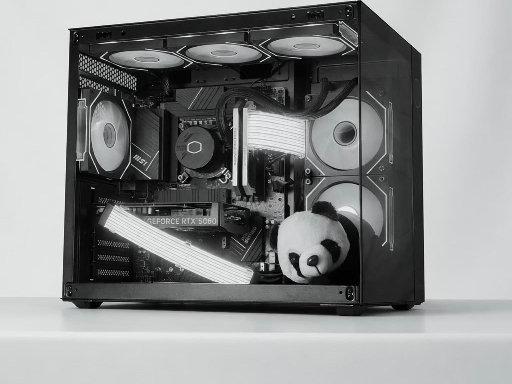 🤍🧡The Cub | i5 12600k 32gb ddr4 RTX 5060🧡🤍