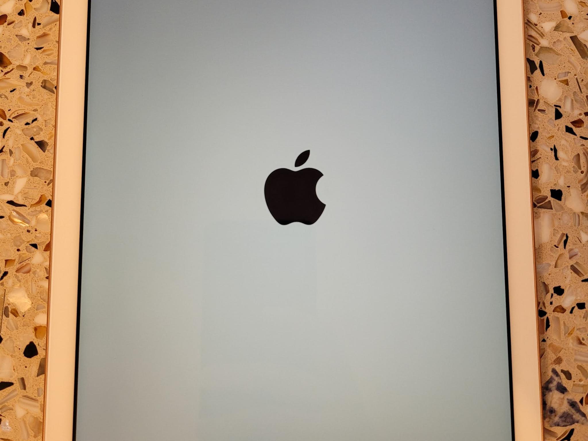 Excellent Condition iPad 6th Generation 32gb + many accessories! 