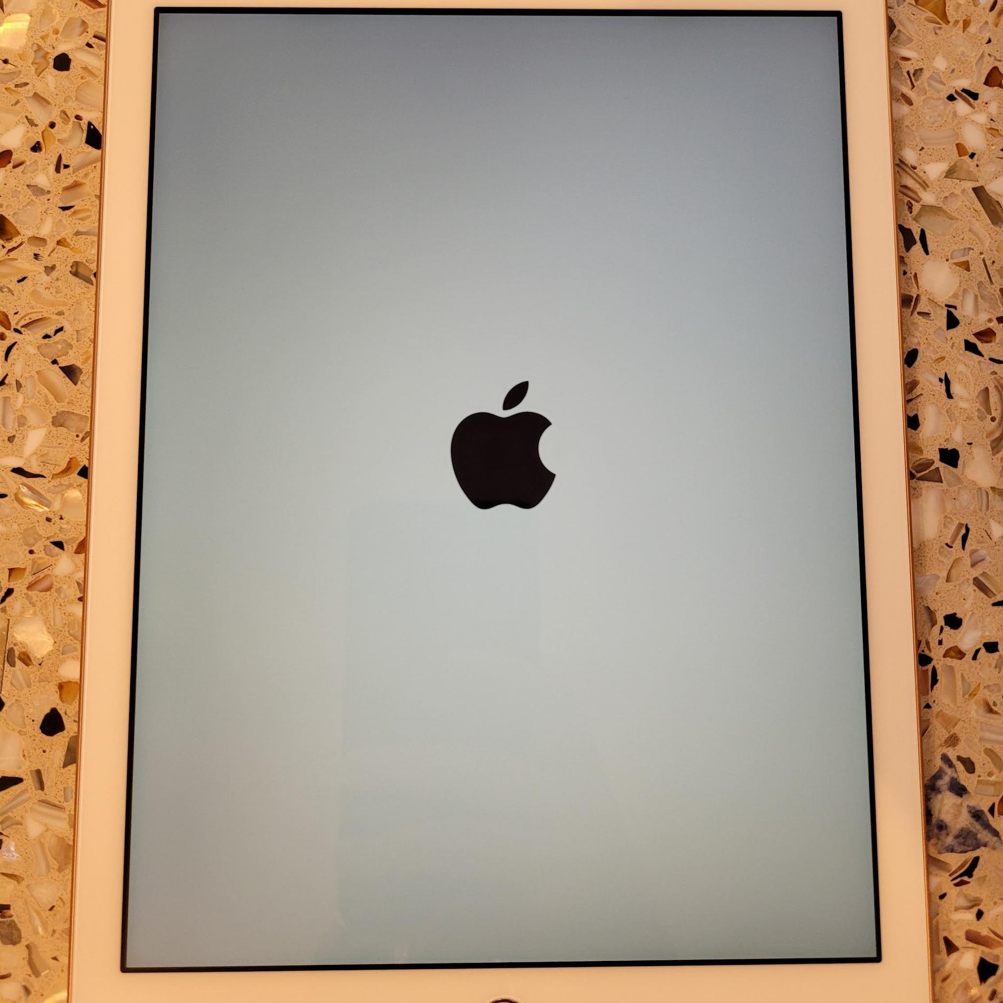 Excellent Condition iPad 6th Generation 32gb + many accessories! 