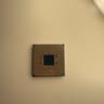 AMD Ryzen 5 5600X