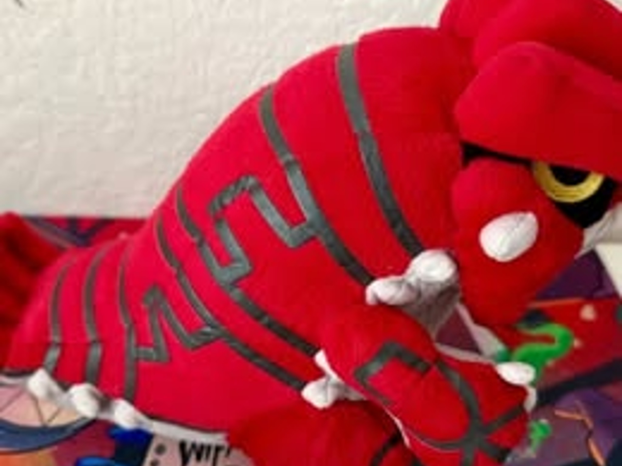 2004 Pokemon Groudon Plush Pokemon Center Plush Exclusive