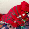 2004 Pokemon Groudon Plush Pokemon Center Plush Exclusive