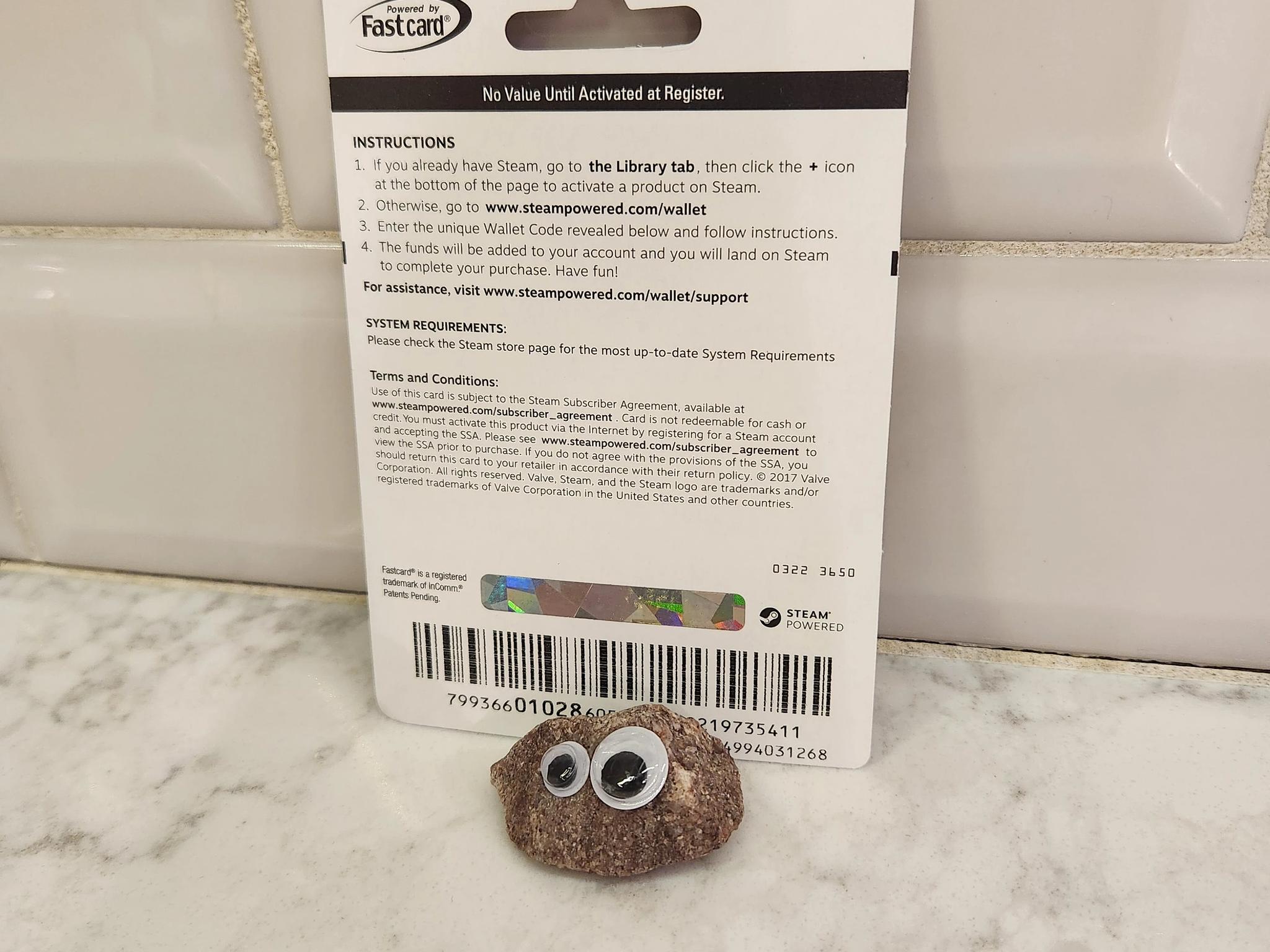 $100 Steam Wallet Card
