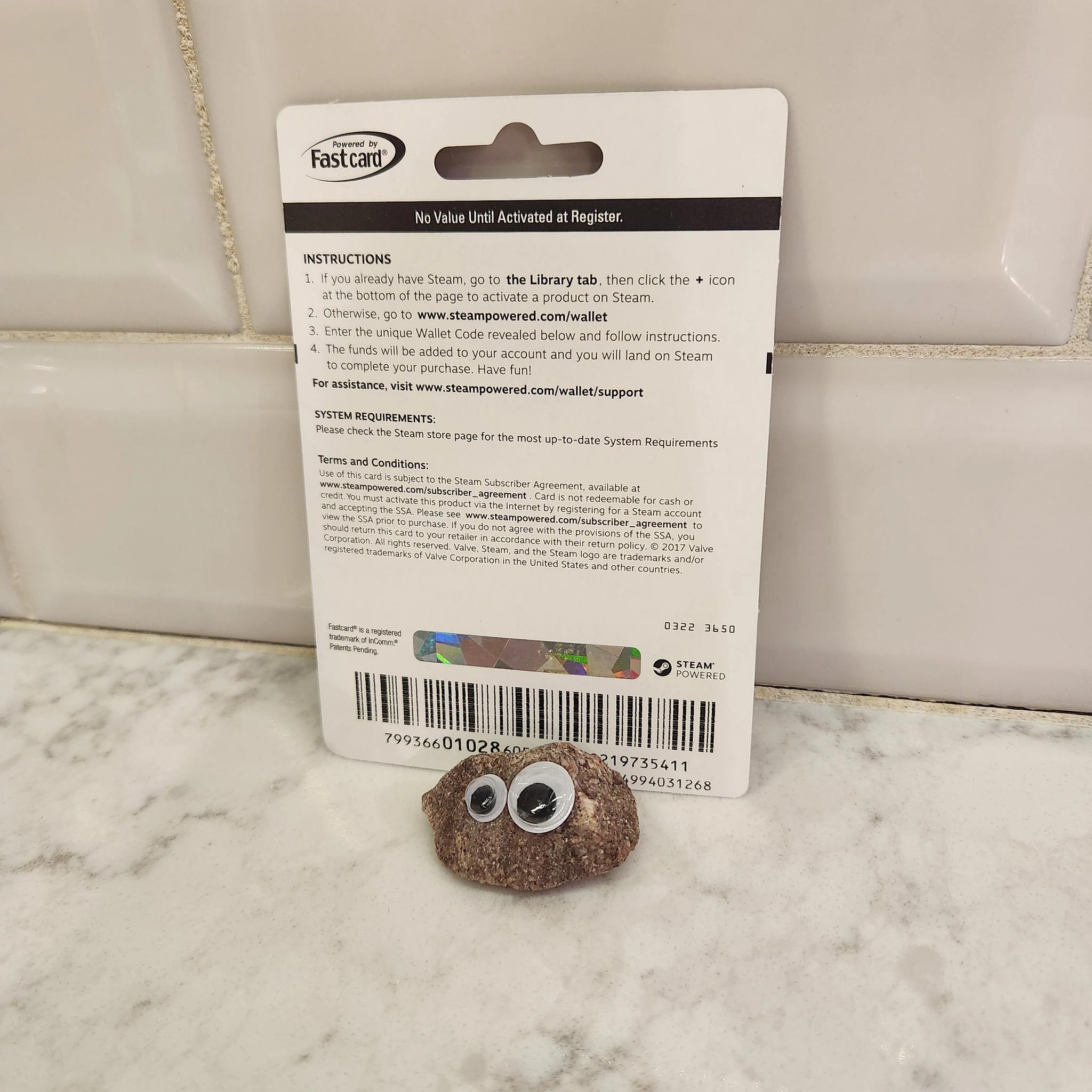 $100 Steam Wallet Card