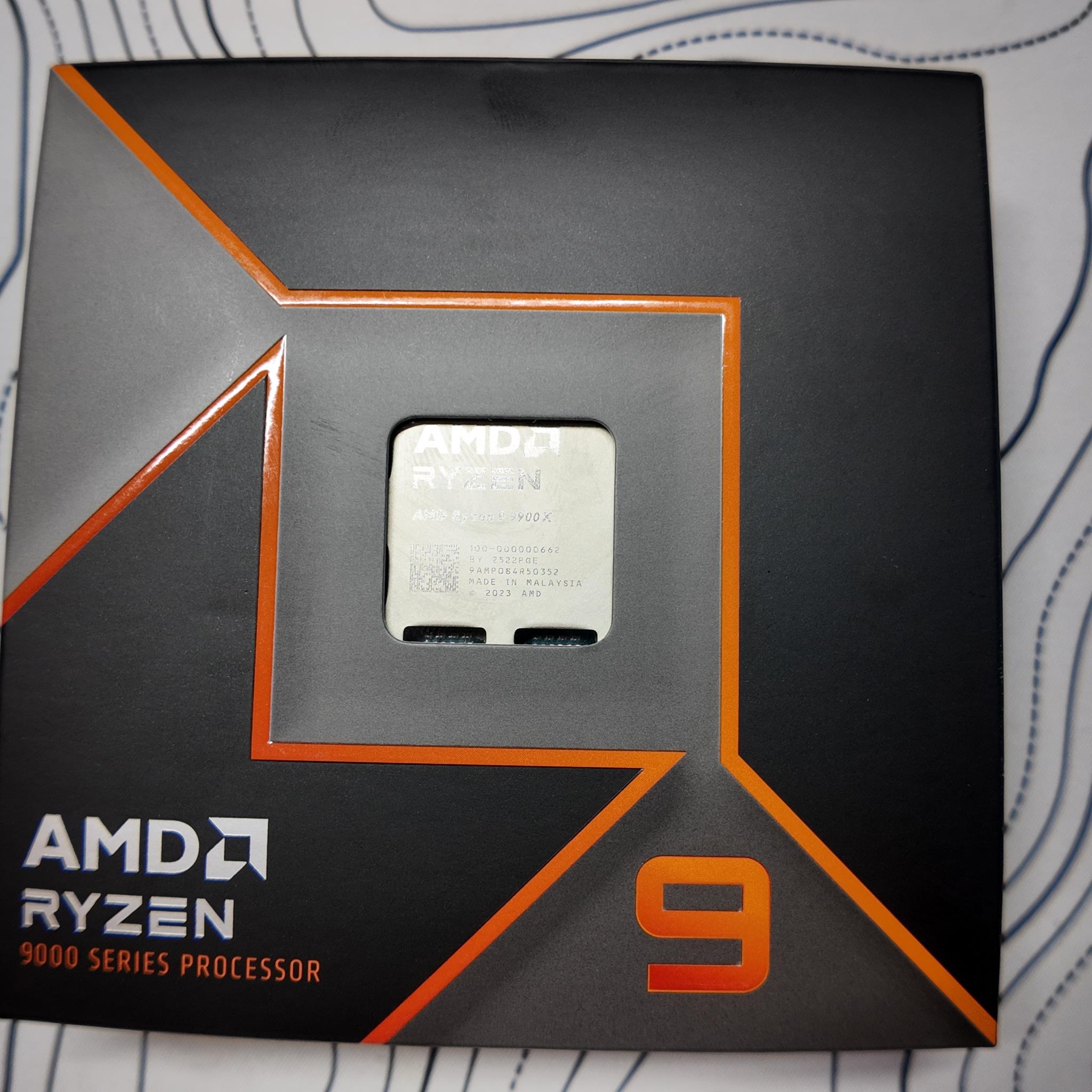 AMD Ryzen 9 9900X
