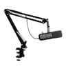 NearStream AW-AM10X Microphone and Arm Mount