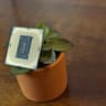 Intel Core i7-8700 - 6 Core/12 - Thread LGA1151 - Intel 300 Chipset -Tested Working!