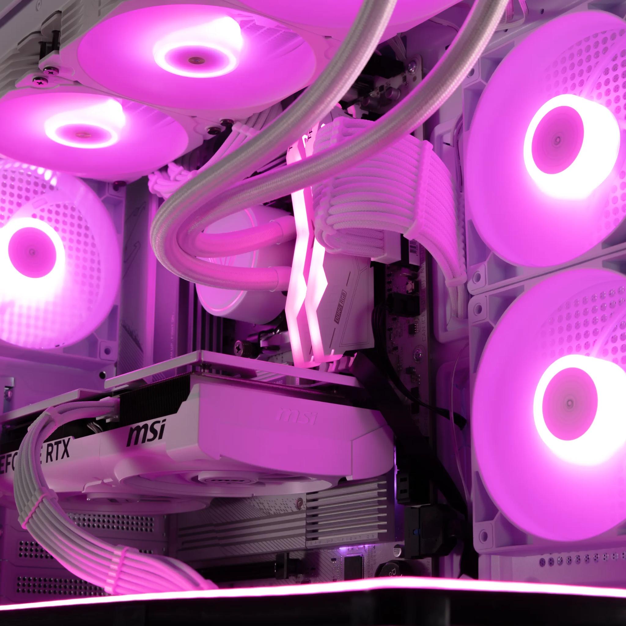 🖤 Echidna 🖤 RTX 5070 / AMD R7 9700X / 1TB NVME / 32GB DDR5 RAM / 360 AIO / Windows 11 Pro