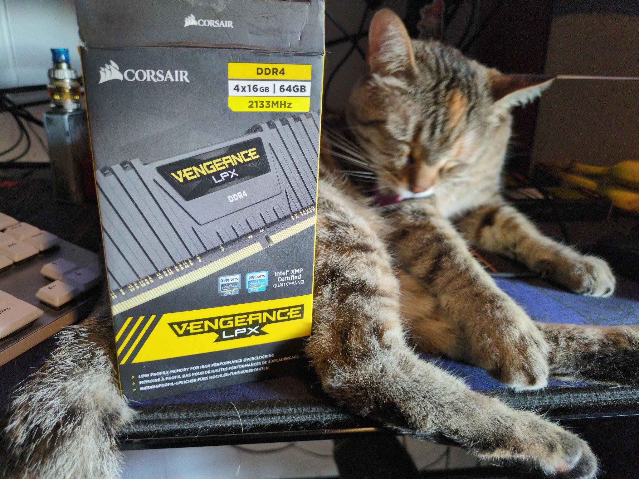 Corsair Vengeance Lpx 4x16GB/64GB DDR4