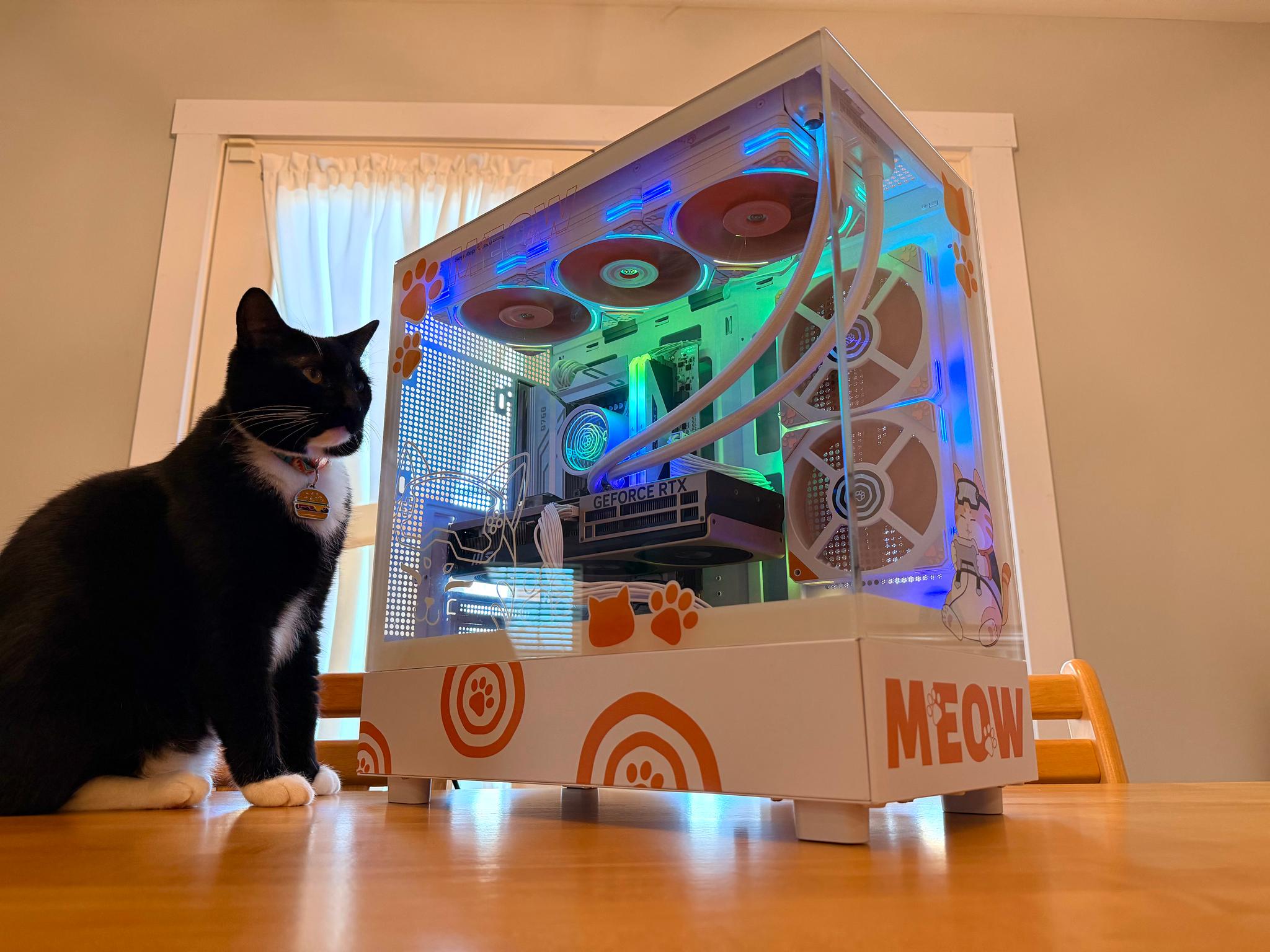 ⚪️🐈| RTX 5070ti, Intel i9 12900K, 64gb Ram, 2tb SSD WiFi Equipped Gaming PC