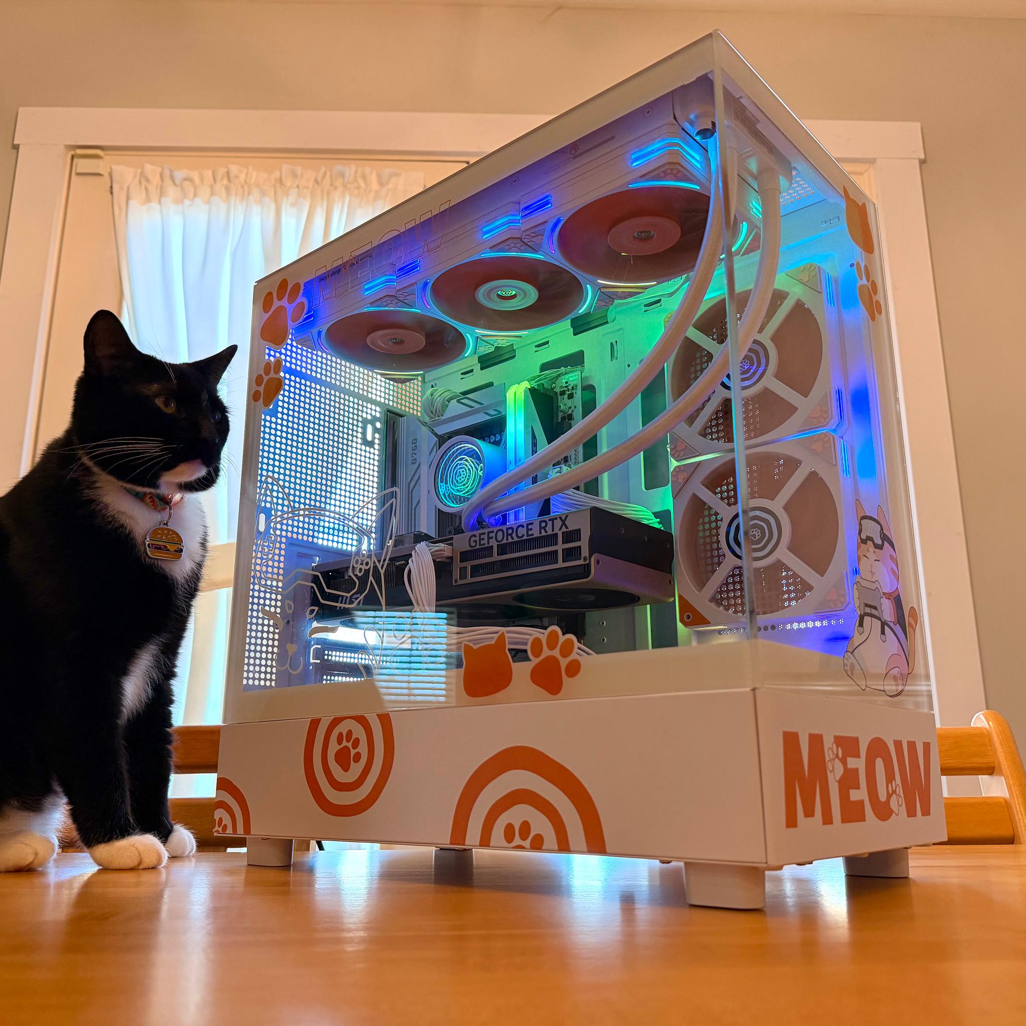 ⚪️🐈| RTX 5070ti, Intel i9 12900K, 64gb Ram, 2tb SSD WiFi Equipped Gaming PC