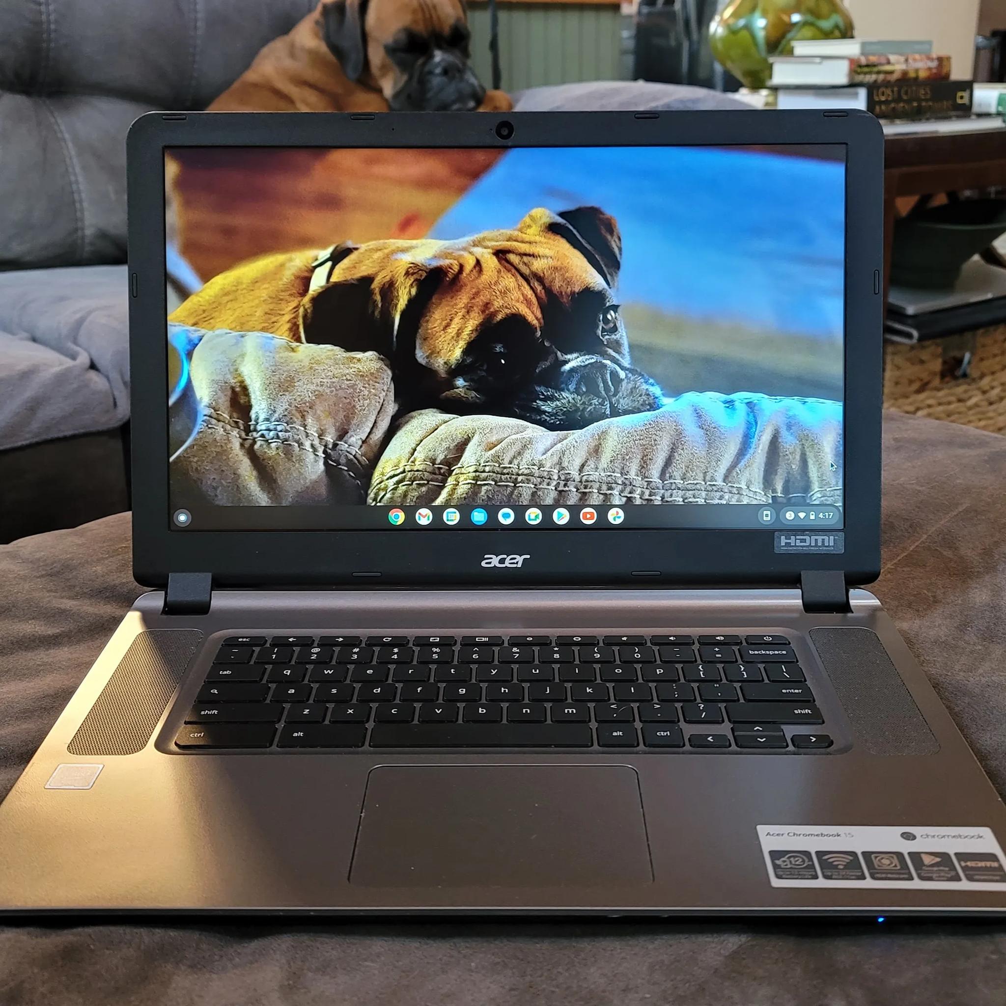 Acer Chromebook 15 CB3-532-108H