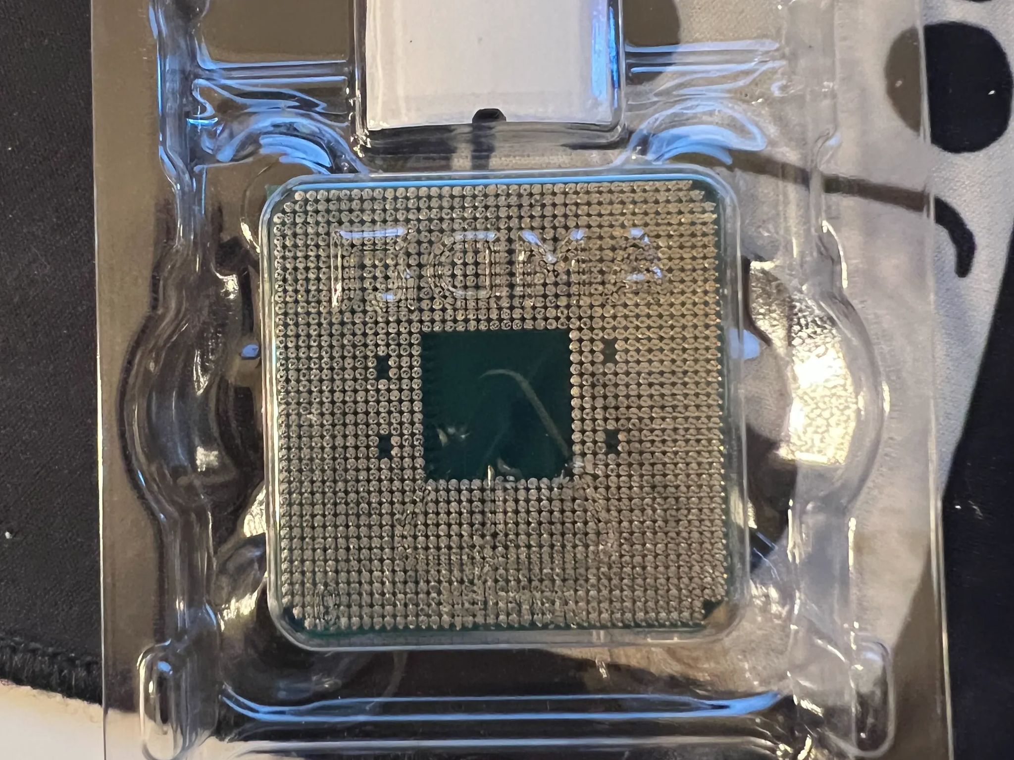 AMD Ryzen 5 5600X
