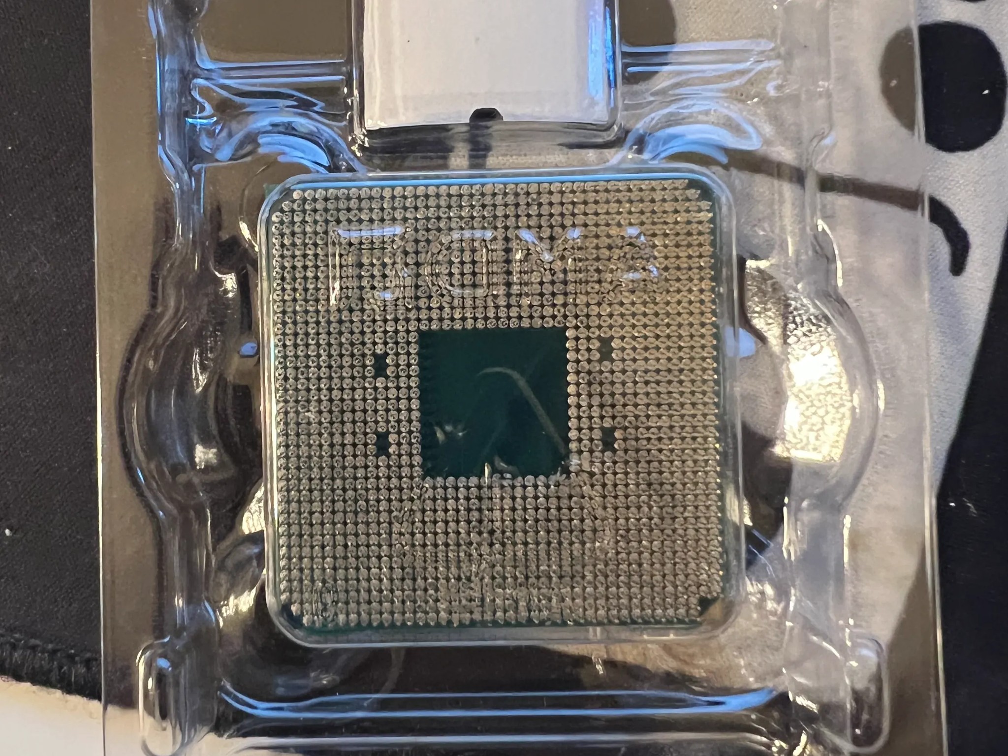 AMD Ryzen 5 5600X