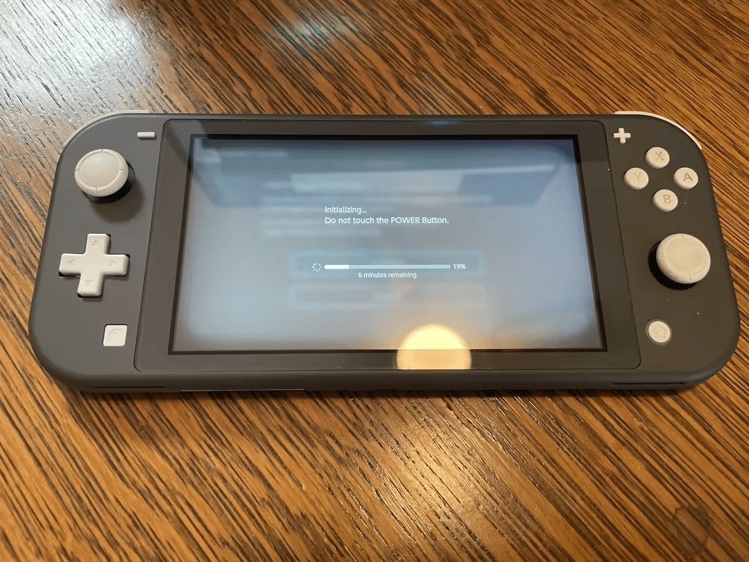 Gray Nintendo Switch Lite + case