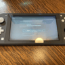 Gray Nintendo Switch Lite + case