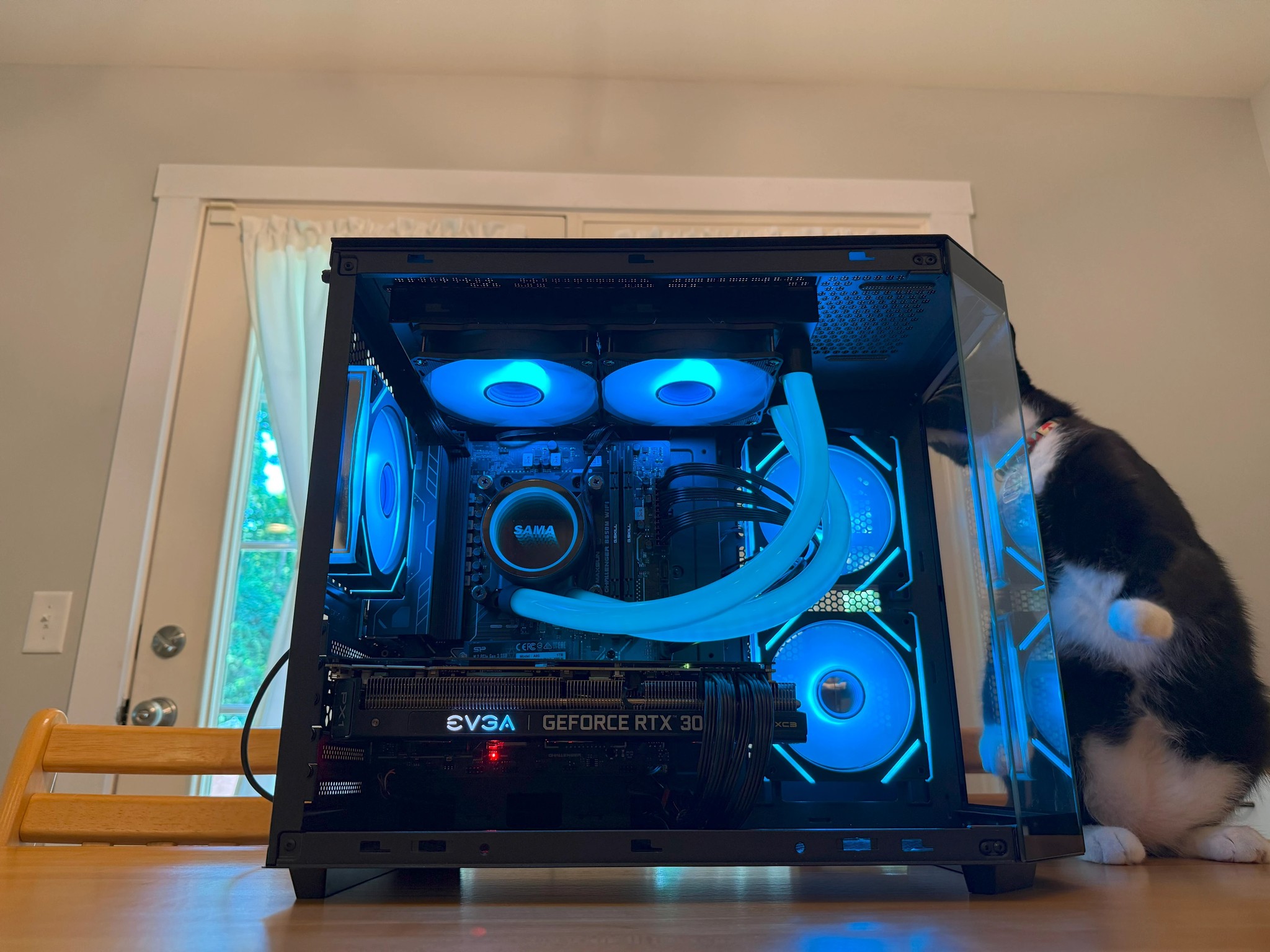 🐈‍⬛ 💨 RTX 3090 24gb, 32gb DDR5, AM5 Ryzen 8400f, Wifi Equipped, ARGB, AIO Cooled Gaming PC 🐈‍⬛ 💨