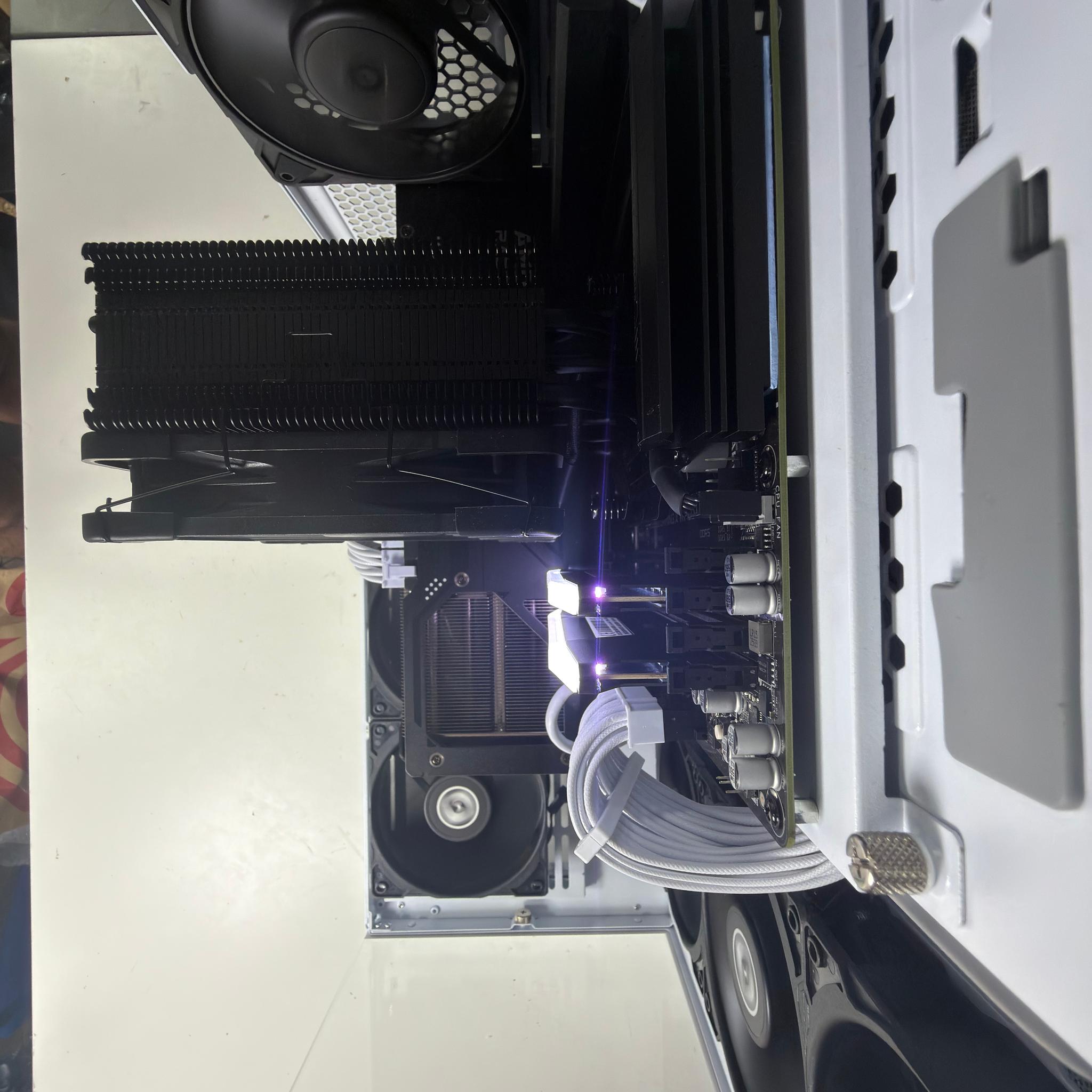 🐼 RX 9070 XT • Ryzen 7 9800X3D • 32GB DDR5 • 2TB NVMe