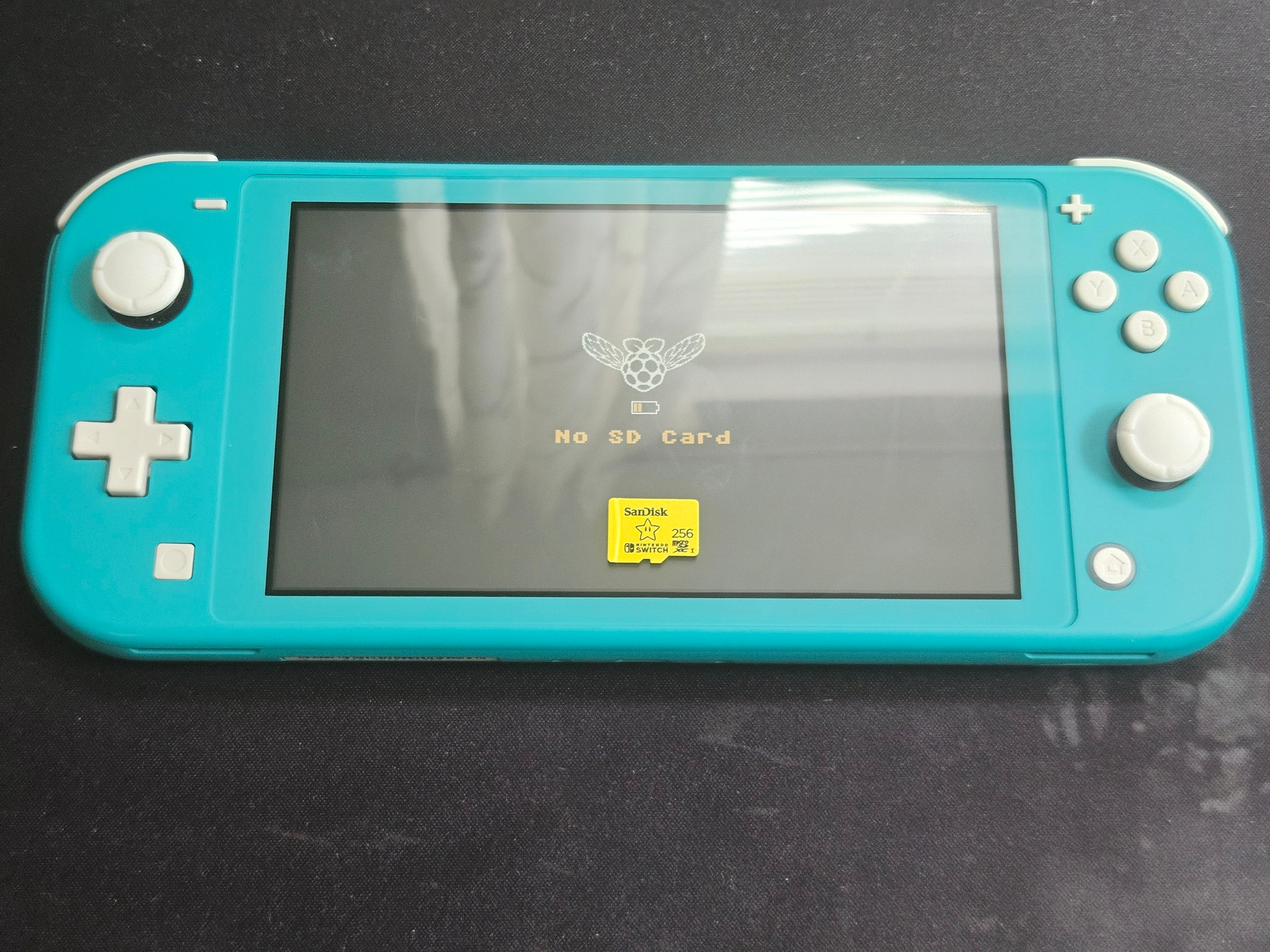 Modded Switch Lite with 256GB SD Card and Picofly