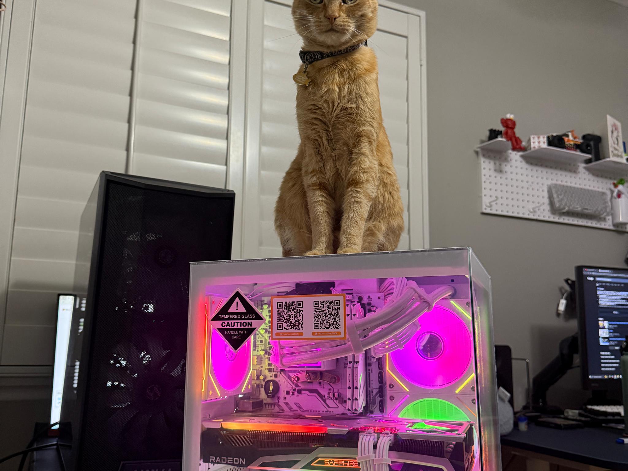 1440p/1080p | 6700XT (12GB) | RYZEN 5 5600 | 32GB DDR4 | 🟩NEON INFINITY🟦