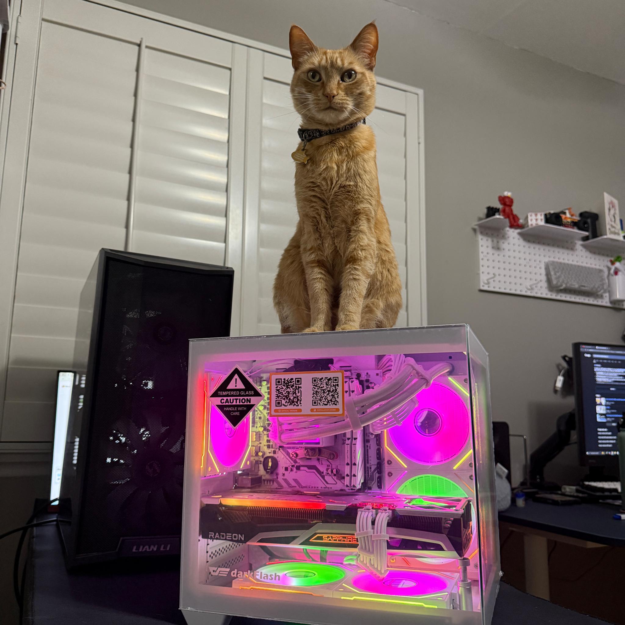 1440p/1080p | 6700XT (12GB) | RYZEN 5 5600 | 32GB DDR4 | 🟩NEON INFINITY🟦