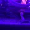 XFX Speedster QICK 308 Black Radeon RX 6600 XT