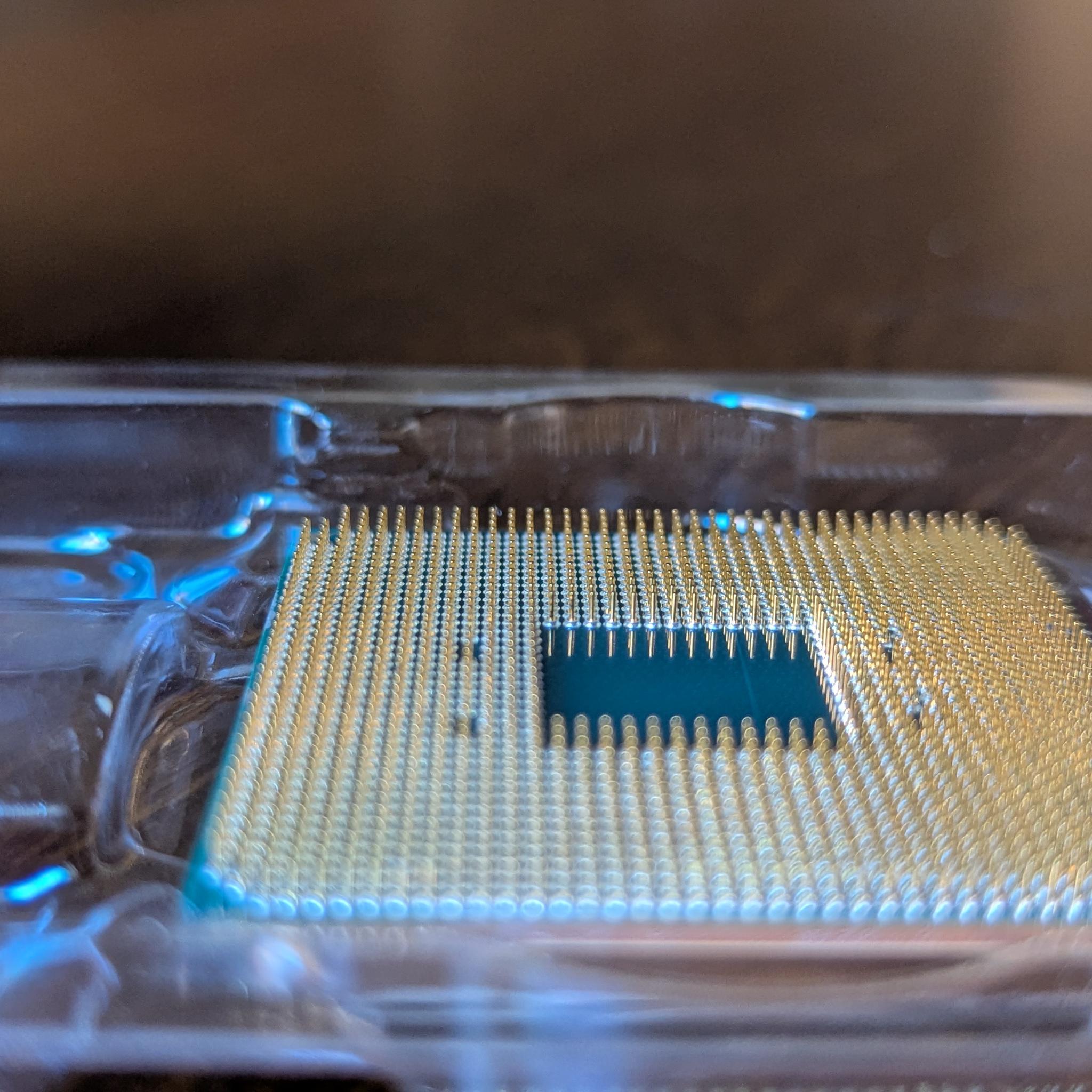 AMD Ryzen 5 3600
